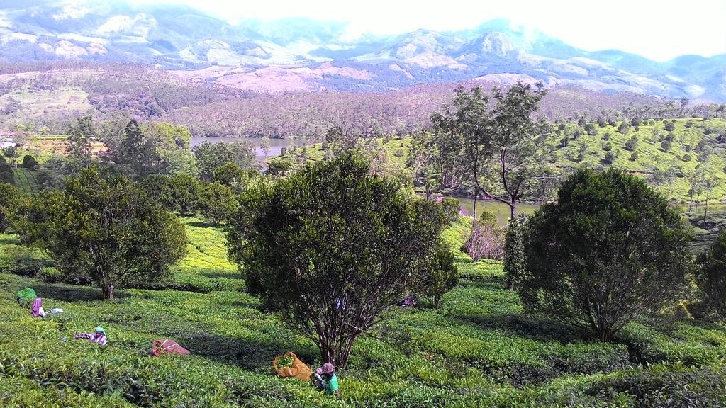 Ferndale Homestay Thekkady Extérieur photo