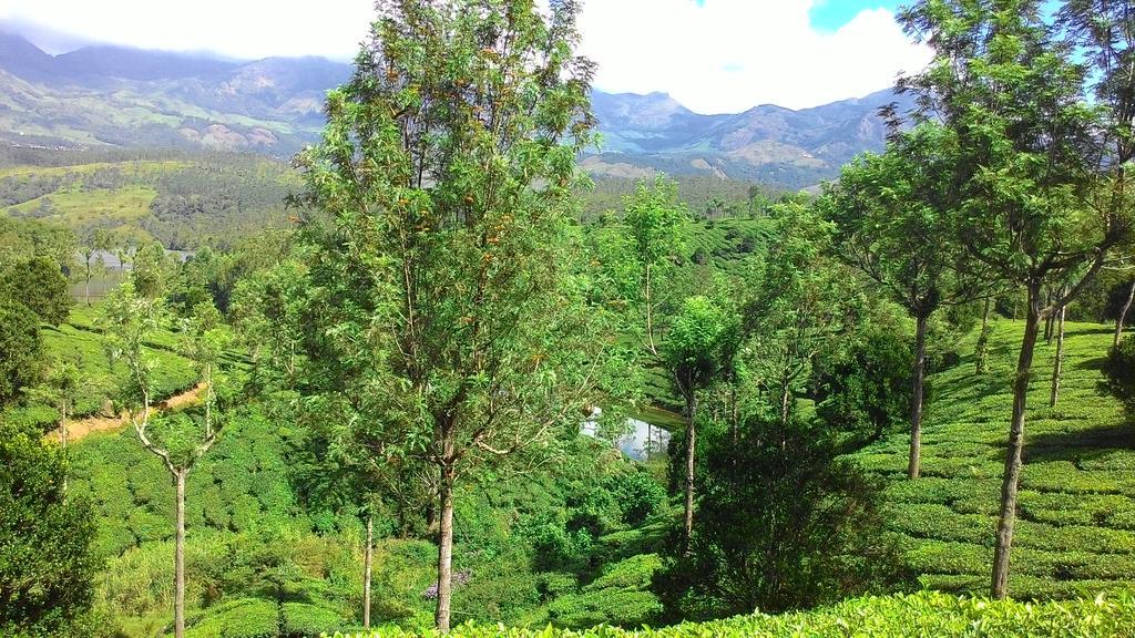 Ferndale Homestay Thekkady Extérieur photo